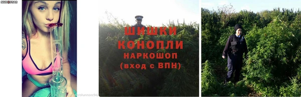 каннабис Заводоуковск