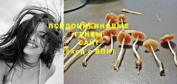 ПСИЛОЦИБИНОВЫЕ ГРИБЫ Зеленодольск