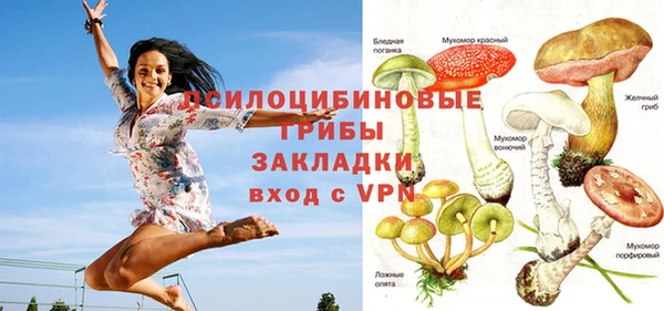 молекула духа Зеленокумск