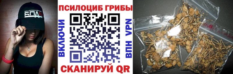 hydra ТОР  где найти наркотики  Славск  Псилоцибиновые грибы мухоморы 